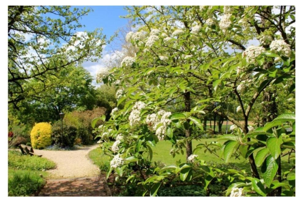 Chambres D'Hotes Les Vignes Montcet Bagian luar foto